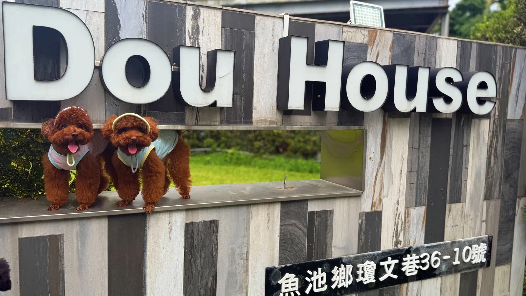 兜 Dou House 民宿外觀,寵物友善